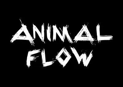 Clase de Animal Flow en KIN Studio